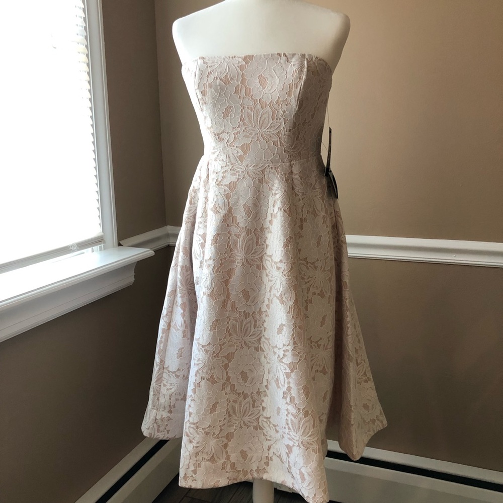 Lulus Strapless Lace Dress NWT